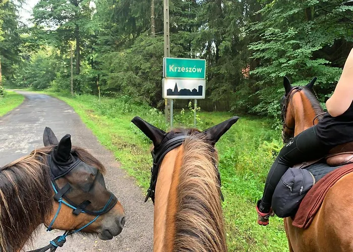 Na Szlaku Apartamento